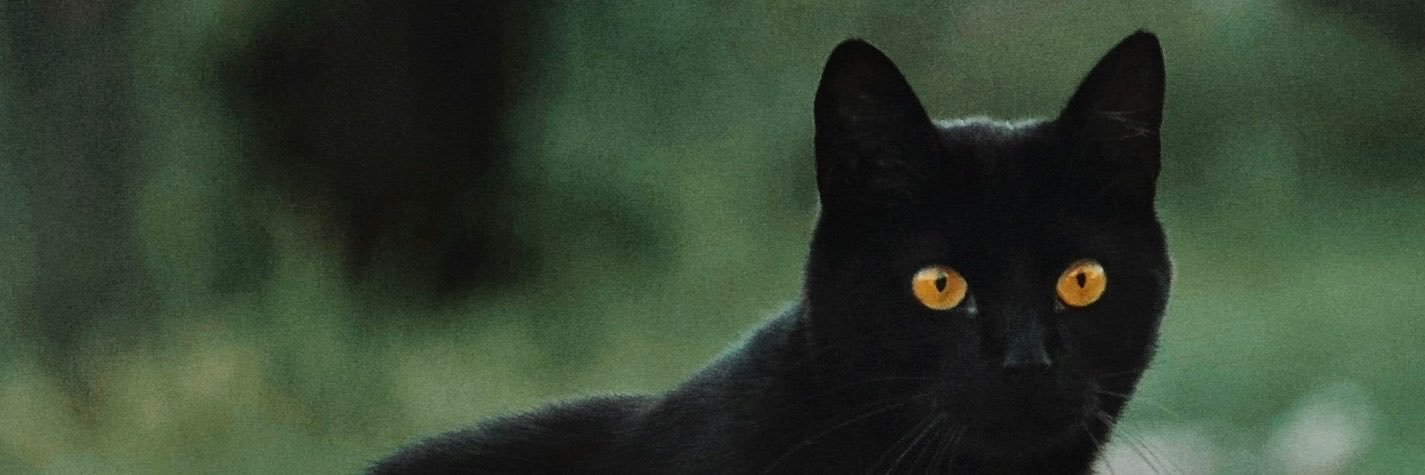 fewlwish's profile banner image