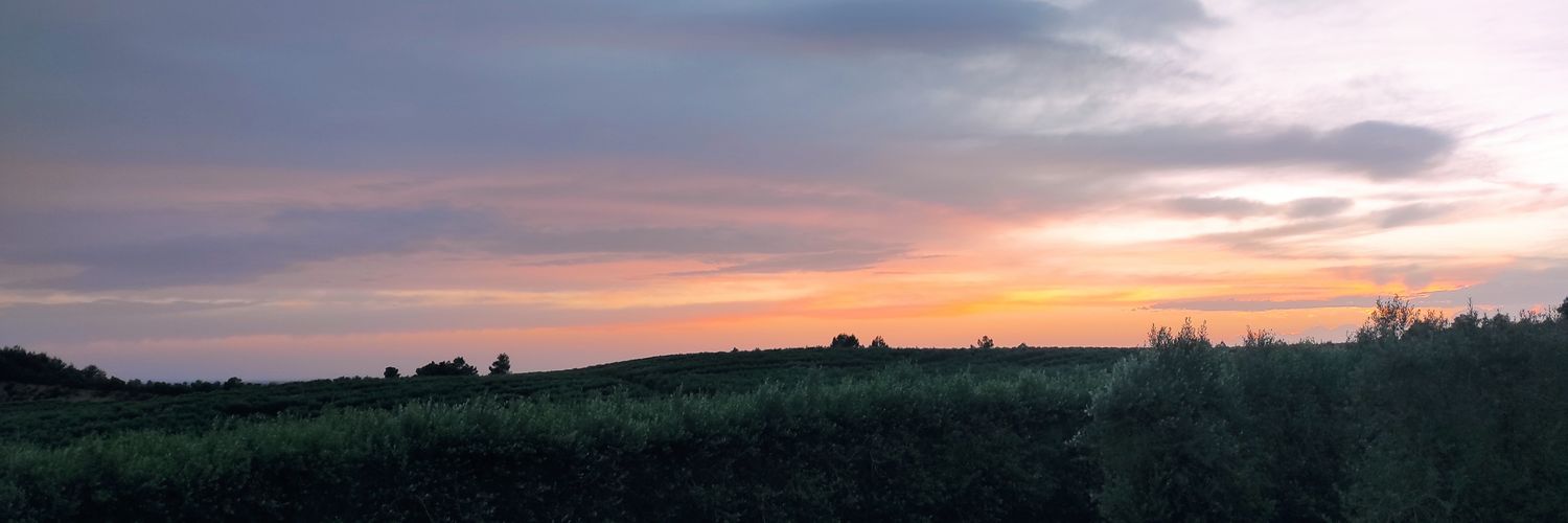 martariau's profile banner image