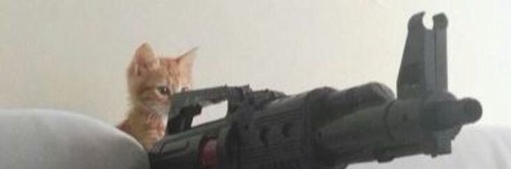 /ᐠ - ⩊ -マ Ⳋ banner