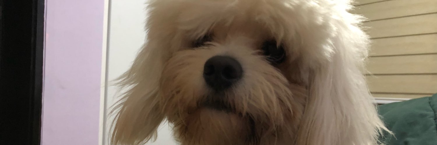 macgyverCABF's profile banner image