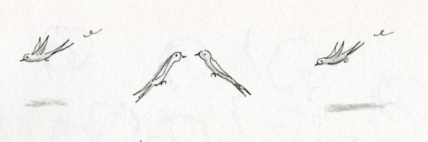 sternenzacke's profile banner image