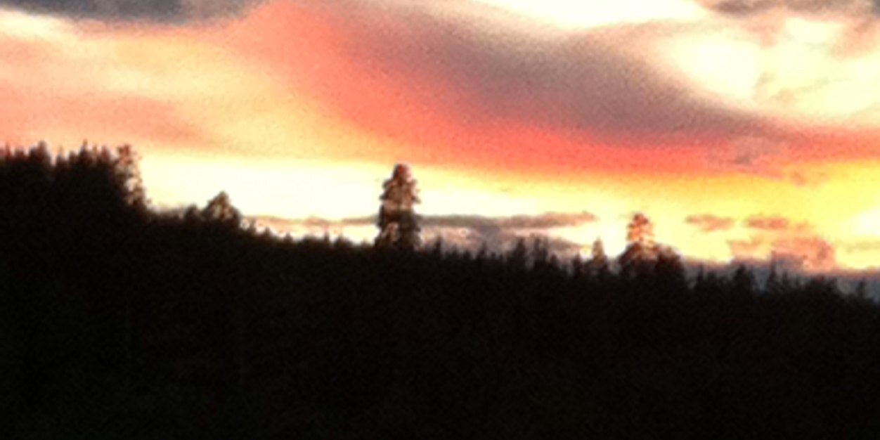 malinwes's profile banner image