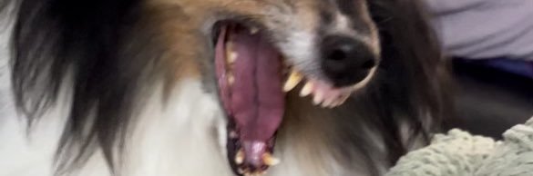 Thought Smith banner