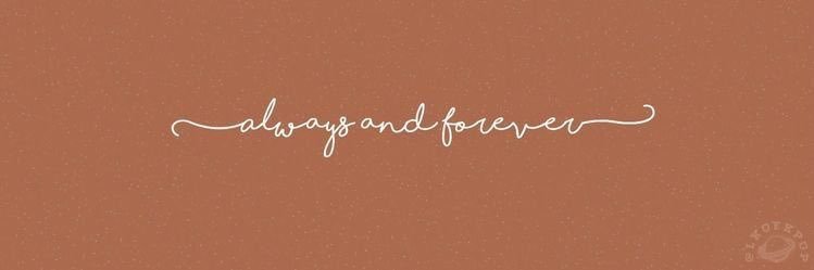abigailmuffin's profile banner image