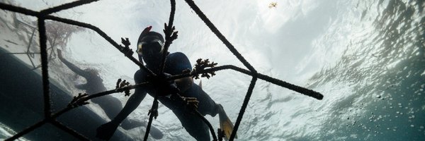 l3dama Profile Banner