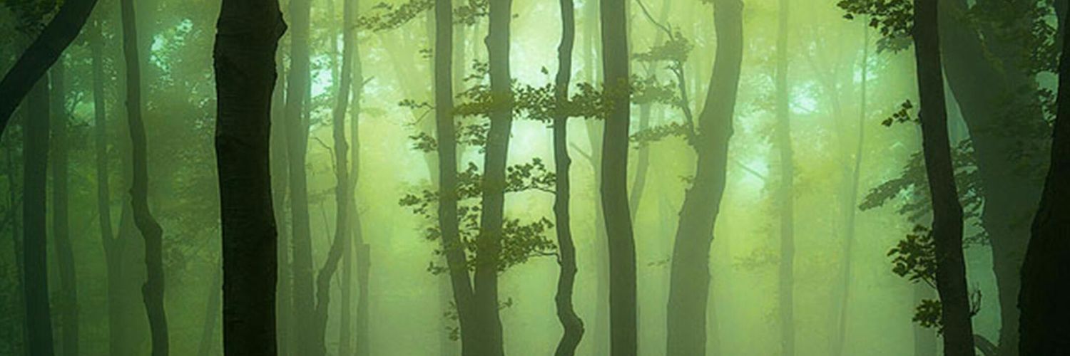 AlwynEverAfter's profile banner image