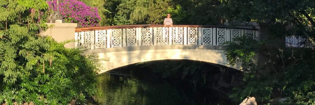 robthe4th's profile banner image