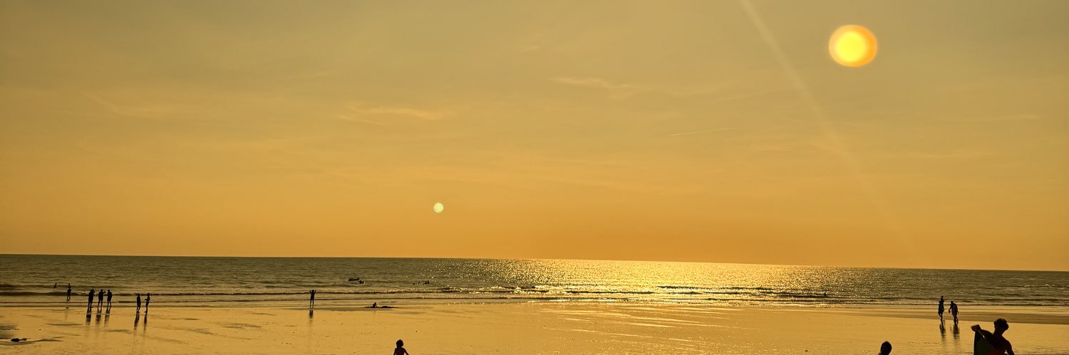 romainmreau's profile banner image