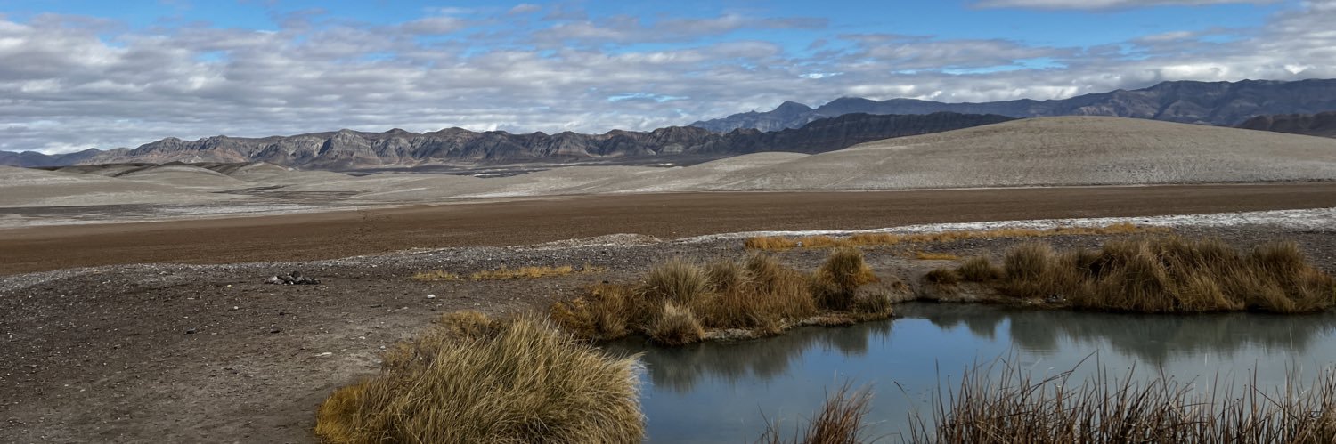 Vanessa Santos Fein banner