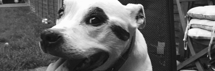 PFraser82's profile banner image