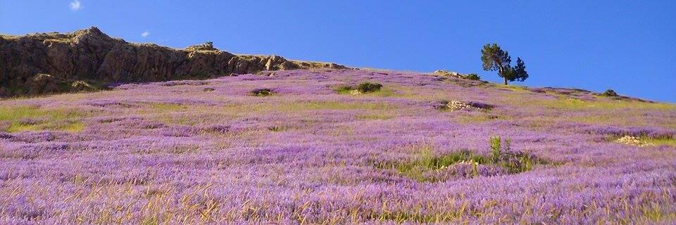 Tacim Şimşek banner