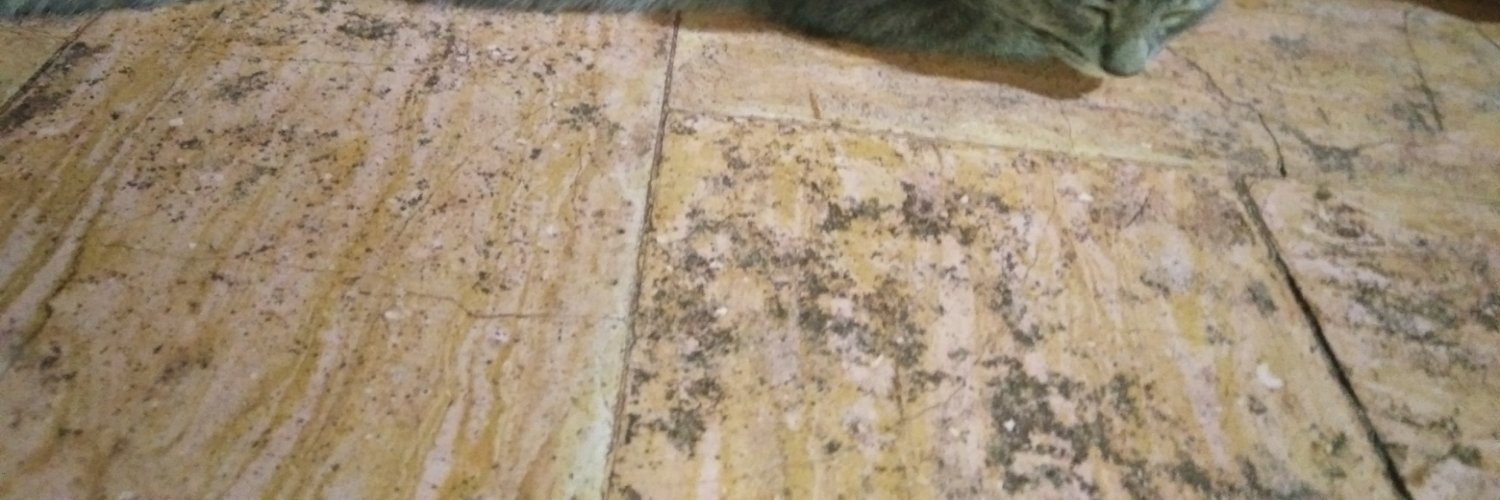Mackychiro_B's profile banner image