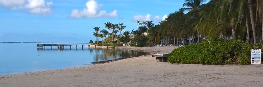 Elizabeth Rodgers banner