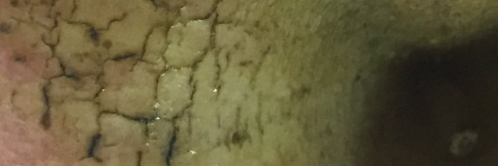 durdalicious's profile banner image