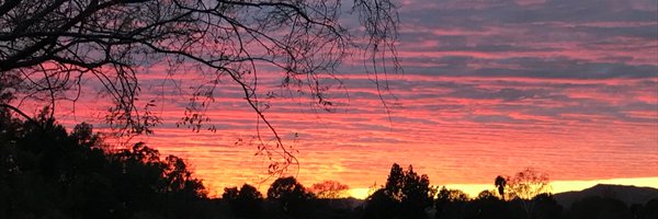 MarianaStern Profile Banner