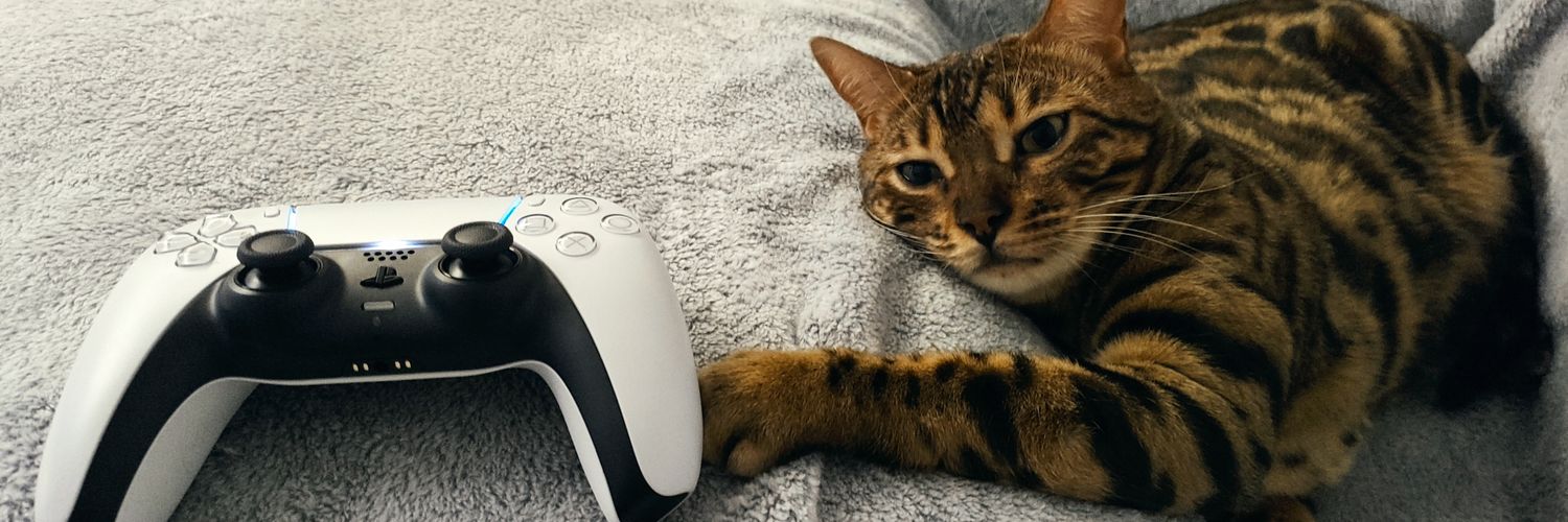 Rafał Szunejko banner