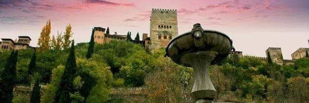 Fernando M. Gracia banner