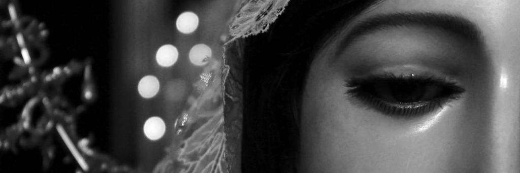 ROSAPRADELLI's profile banner image
