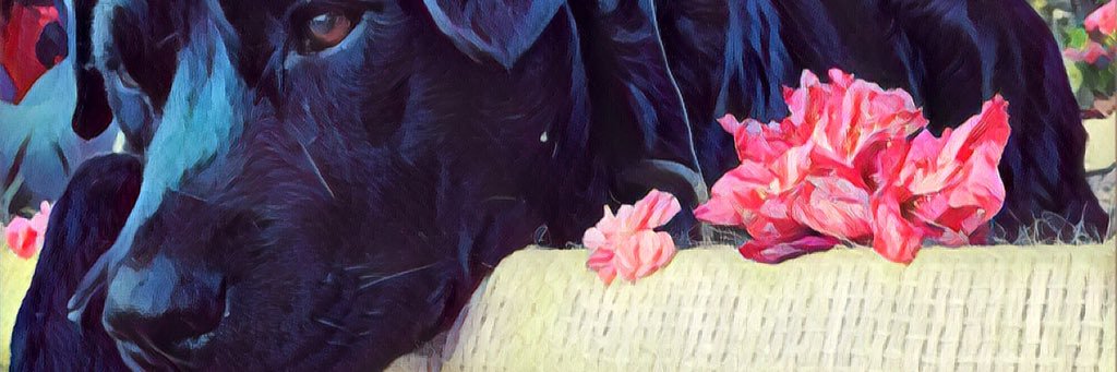 takodehueso's profile banner image