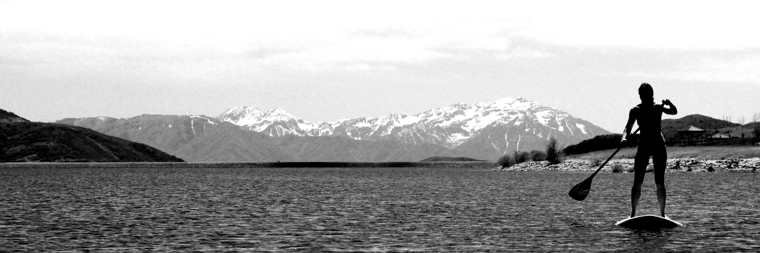 LakeSurfCo's profile banner image