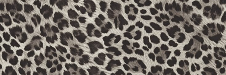 aubreydxa's profile banner image