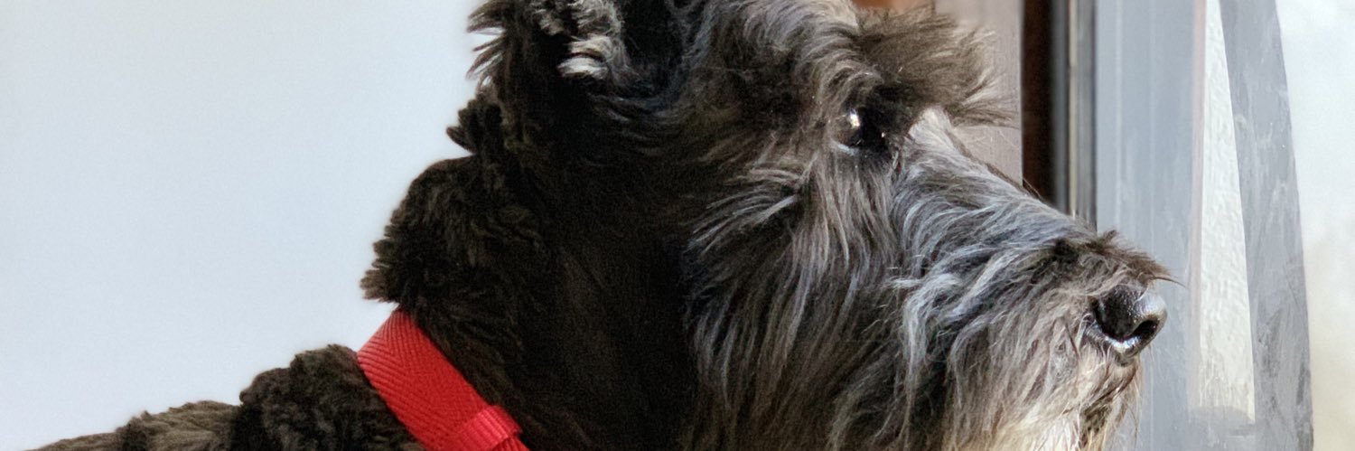 karitipsdemkt's profile banner image