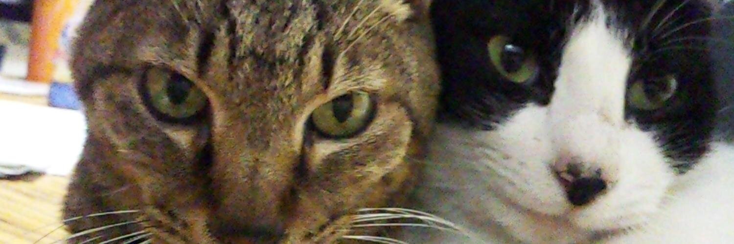 門賀美央子 banner