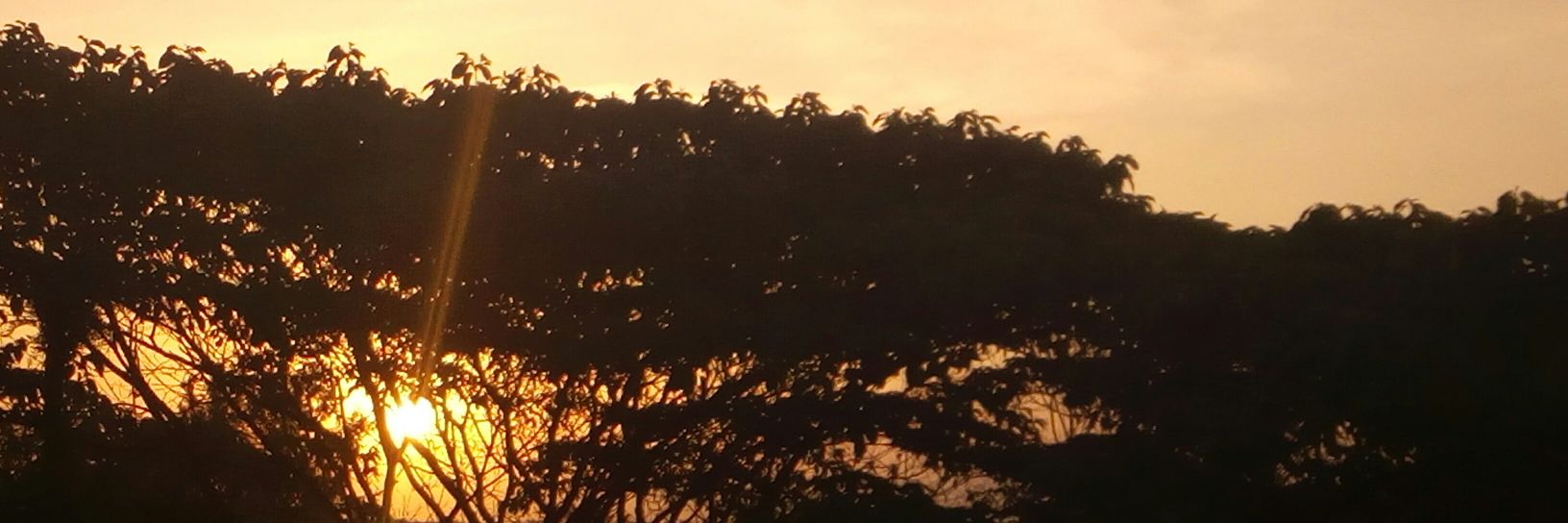 paulopash's profile banner image