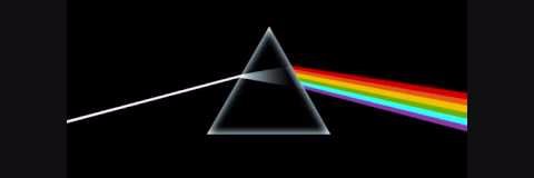 fran_swier's profile banner image
