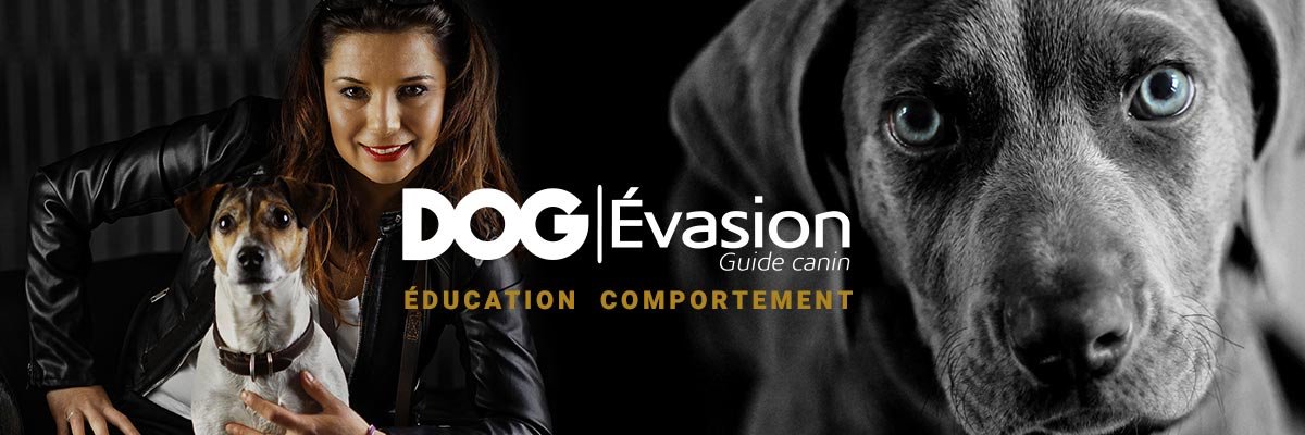 DOG_Evasion's profile banner image