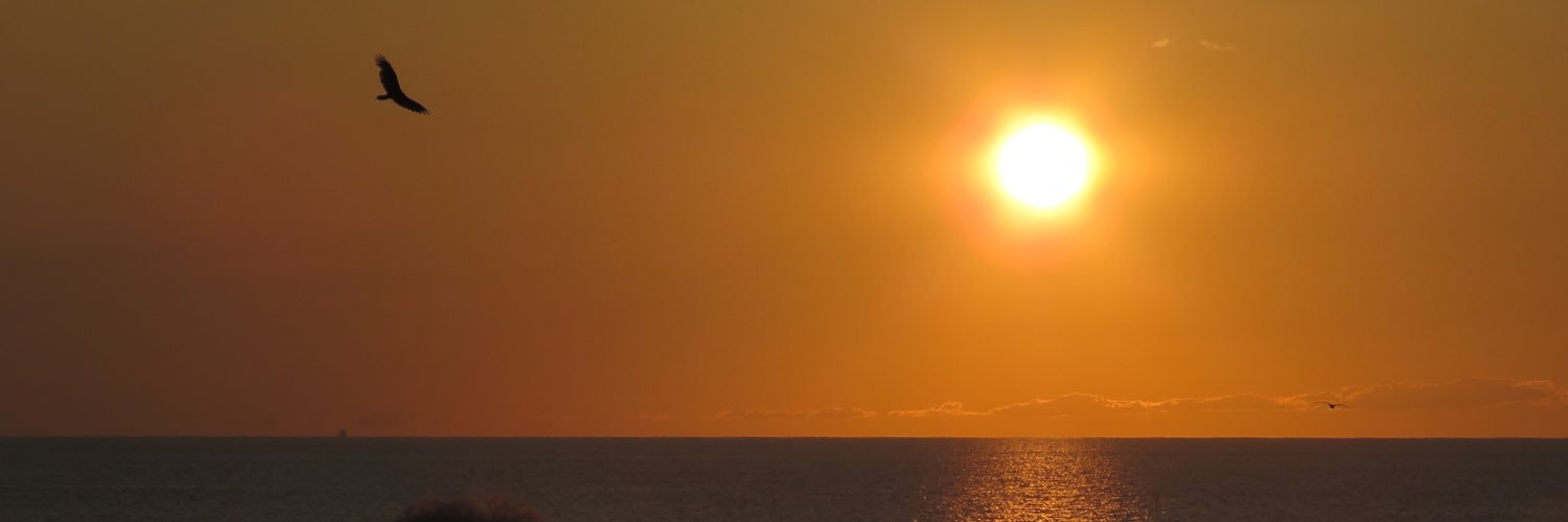 dfornadel's profile banner image