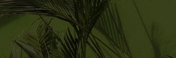 LaHuargo's profile banner image