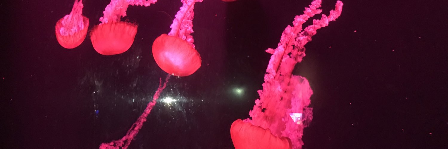 emmadeg1's profile banner image