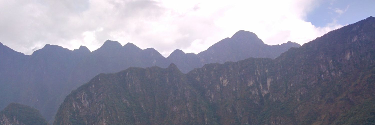 gennessews's profile banner image