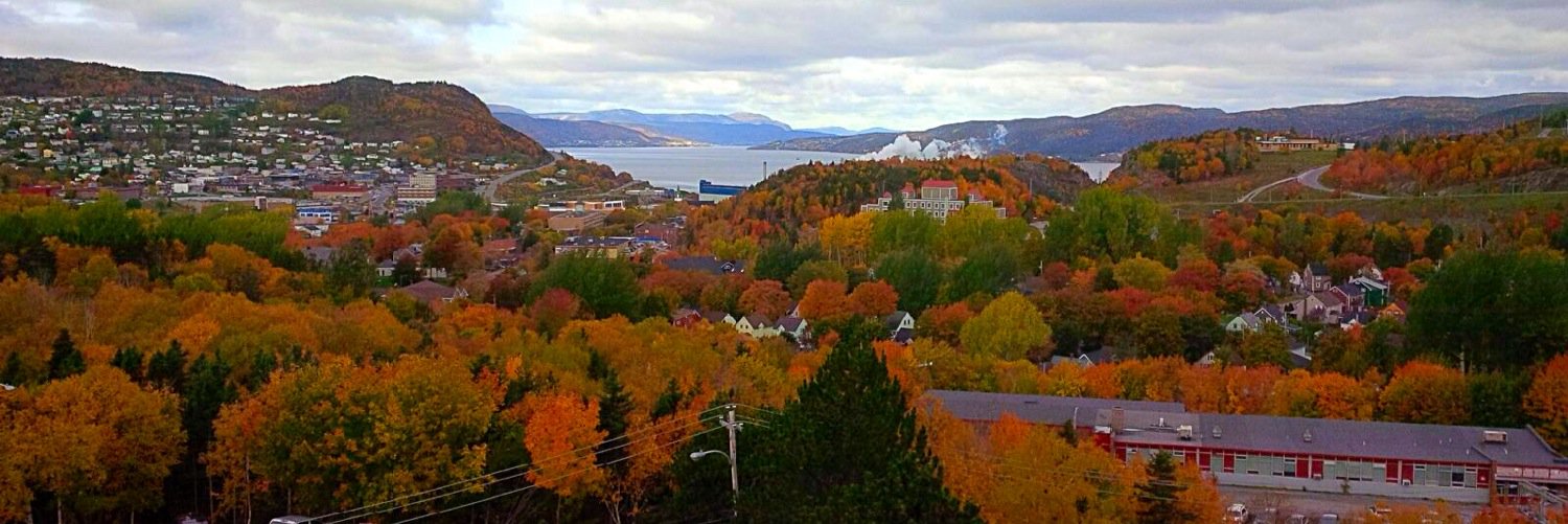 CBrookRob 🫐 banner