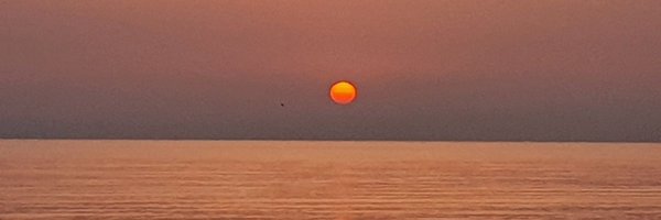 XaviAngelergues Profile Banner