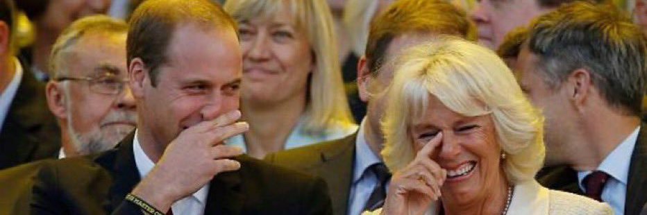 Blue Crow 🇦🇺🇬🇧 banner