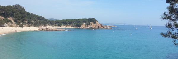 mibego22 Profile Banner