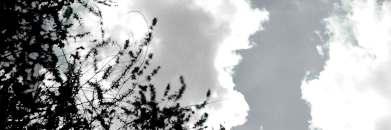_notexist_'s profile banner image
