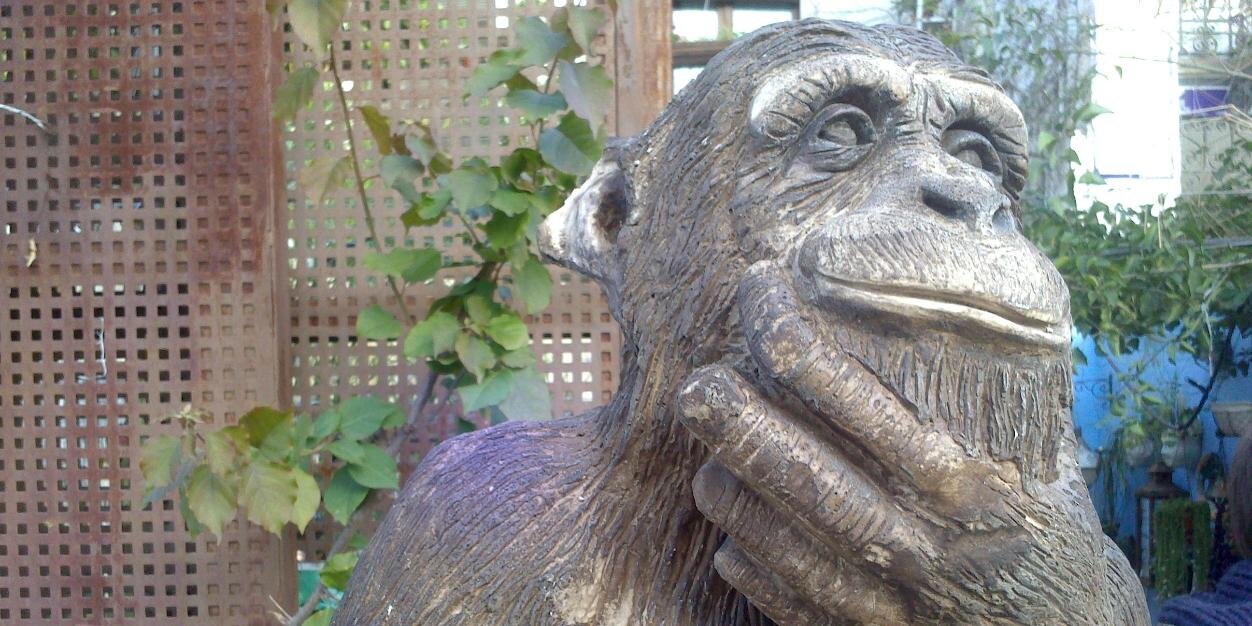 JesusAhufinger's profile banner image