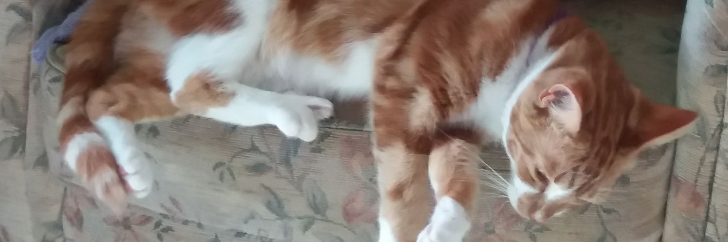 dittydoo66's profile banner image