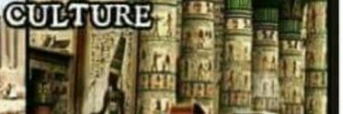 C_NOVACAIN's profile banner image