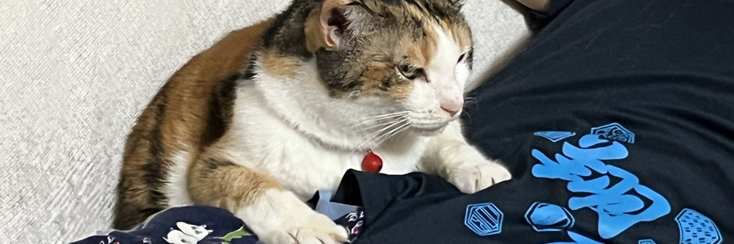 pecorogy's profile banner image