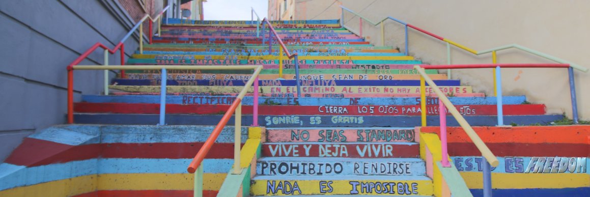 Miguel de Mora 🍃 banner