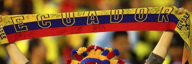 dbassante's profile banner image
