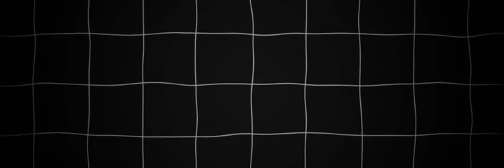 bravinizera's profile banner image