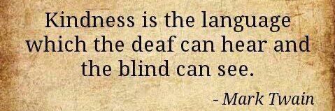 Paola R. Jimenez banner