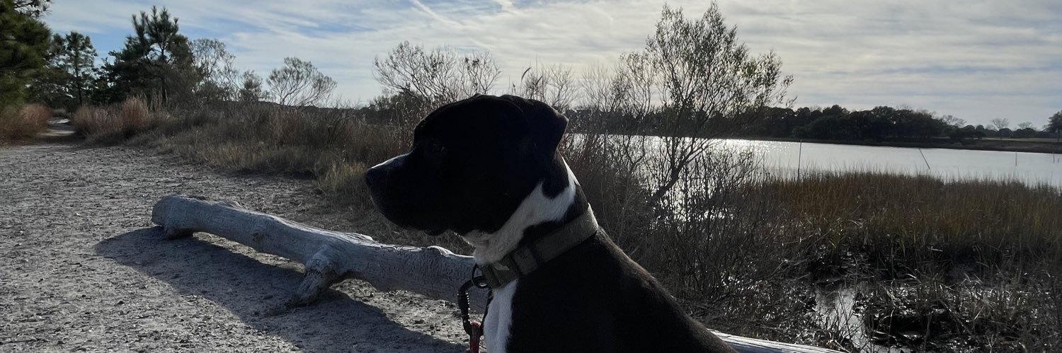K_Btwenty3's profile banner image