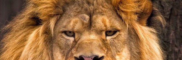 _Moneyiac's profile banner image