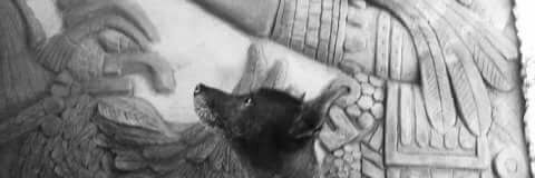 JබvƖƎƦ Ɲබvබ banner